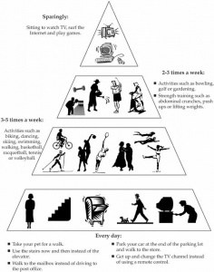The Activity Pyramid 